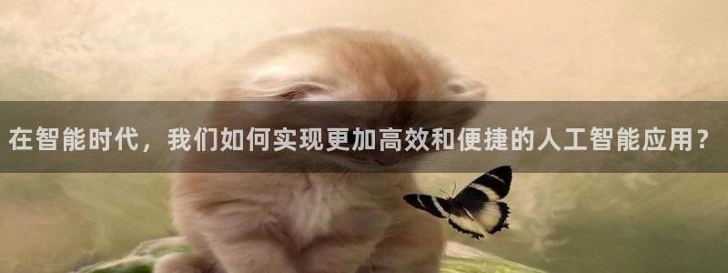 在智能时代，我们如何实现更加高效和便捷的人工智能应用？