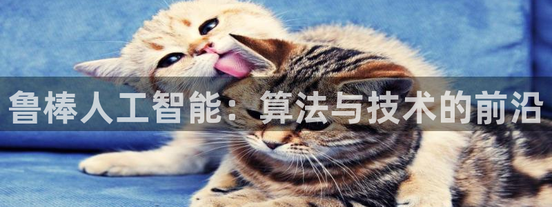 鲁棒人工智能：算法与技术的前沿