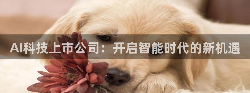 AI科技上市公司：开启智能时代的新机遇