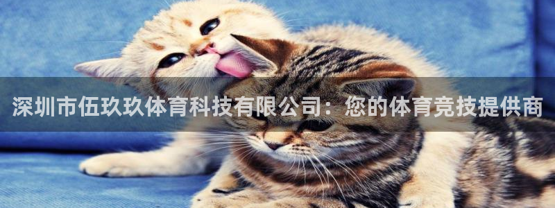 深圳市伍玖玖体育科技有限公司：您的体育竞技提供商