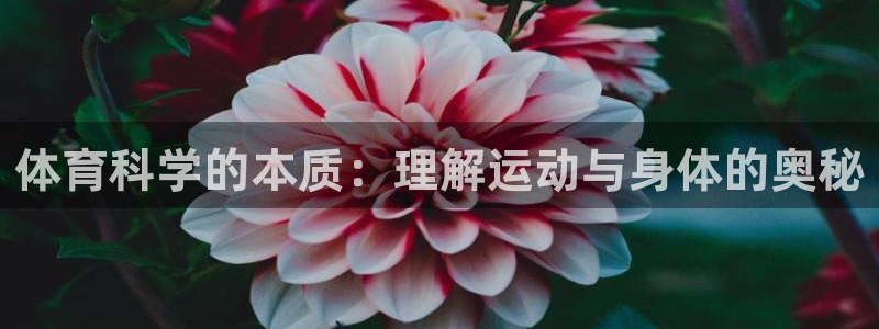 体育科学的本质：理解运动与身体的奥秘