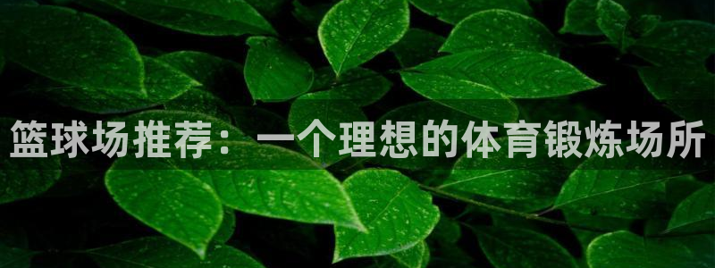 篮球场推荐：一个理想的体育锻炼场所