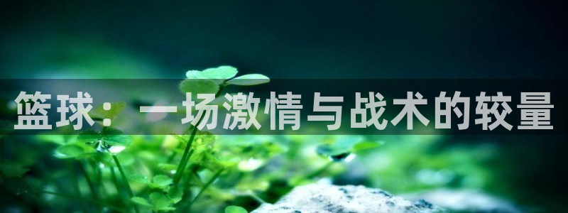 篮球：一场激情与战术的较量