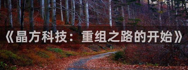 《晶方科技：重组之路的开始》