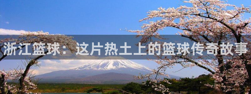 浙江篮球：这片热土上的篮球传奇故事