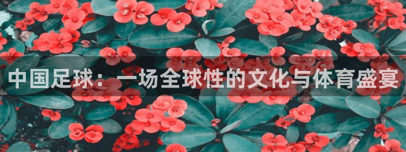中国足球：一场全球性的文化与体育盛宴