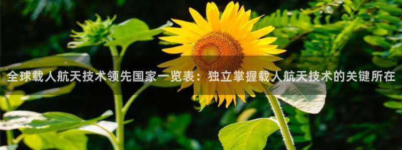 全球载人航天技术领先国家一览表：独立掌握载人航天技术的关键所在