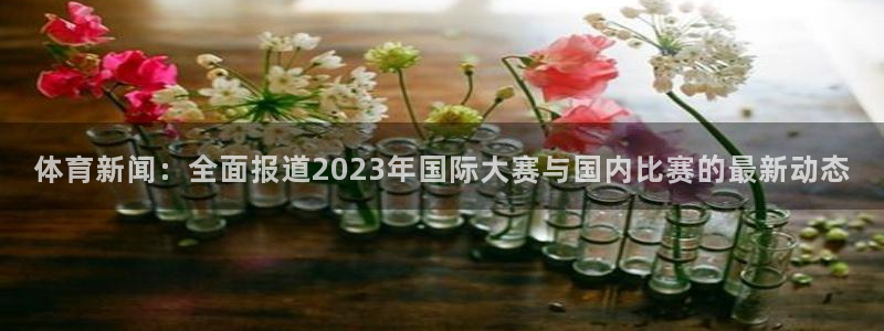 体育新闻：全面报道2023年国际大赛与国内比赛的最新动态