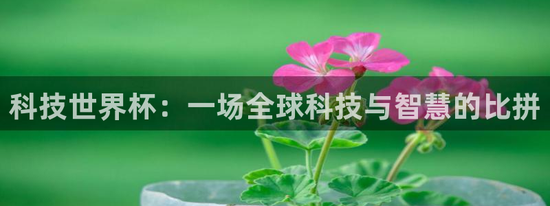 科技世界杯：一场全球科技与智慧的比拼