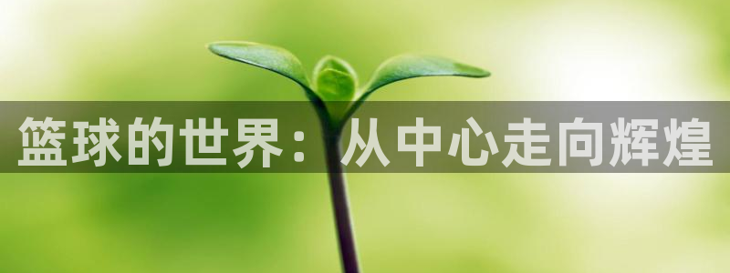 篮球的世界：从中心走向辉煌