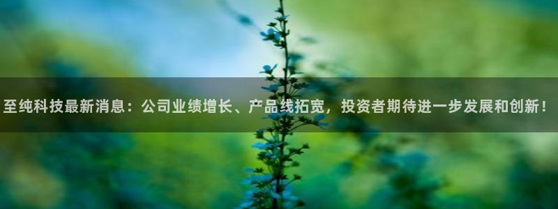 至纯科技最新消息：公司业绩增长、产品线拓宽，投资者期待进一步发展和创新！