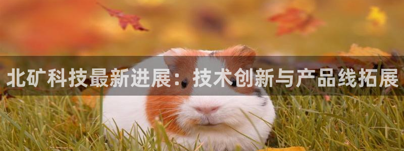 北矿科技最新进展：技术创新与产品线拓展