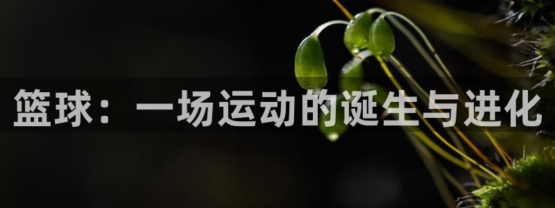 篮球：一场运动的诞生与进化