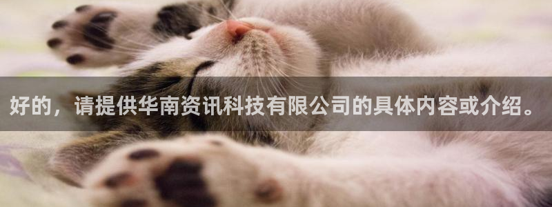 好的，请提供华南资讯科技有限公司的具体内容或介绍。
