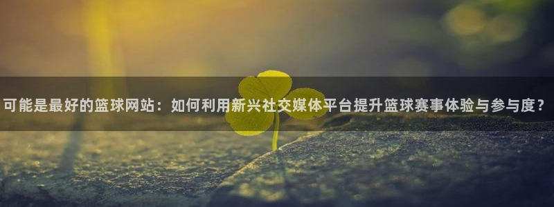 可能是最好的篮球网站：如何利用新兴社交媒体平台提升篮球赛事体验与参与度？