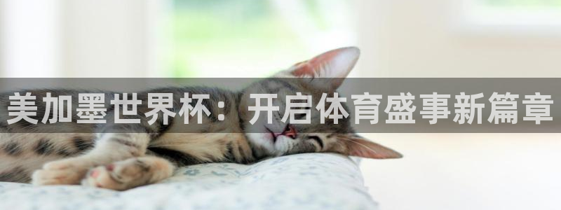 美加墨世界杯：开启体育盛事新篇章