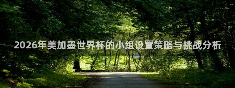 2026年美加墨世界杯的小组设置策略与挑战分析