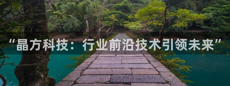 “晶方科技：行业前沿技术引领未来”