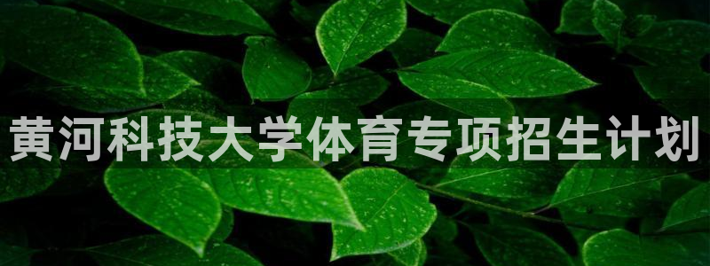 黄河科技大学体育专项招生计划