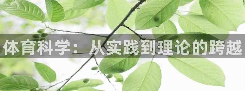 体育科学：从实践到理论的跨越