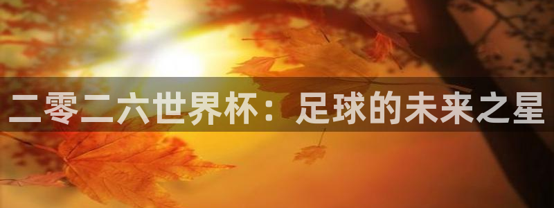 二零二六世界杯：足球的未来之星