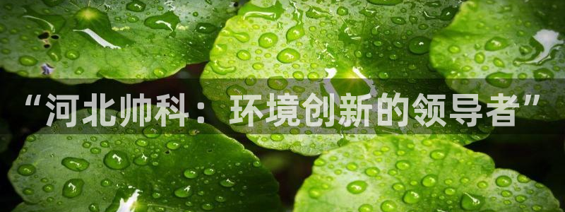 “河北帅科：环境创新的领导者”