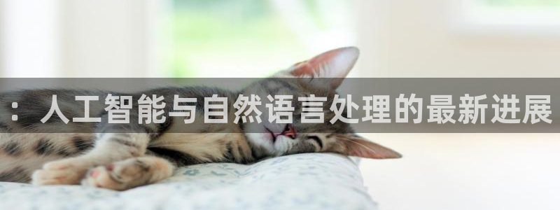 ：人工智能与自然语言处理的最新进展