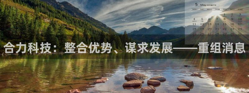 合力科技：整合优势、谋求发展——重组消息